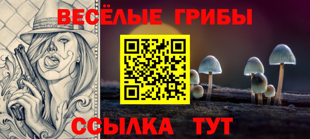 Псилоцибиновые грибы GOLDEN TEACHER Ефремов