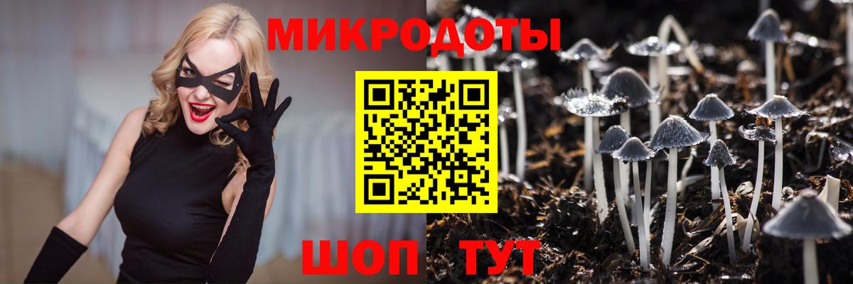 Псилоцибиновые грибы Psilocybe  Псилоцибиновые грибы мухоморы  Вход с VPN  Ефремов 